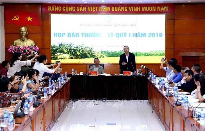 今年第一季度农业增长率达2.68% ảnh 1