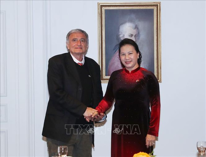 国会主席阮氏金银会见法越友好小组秘书长阿尔尚博 ảnh 1