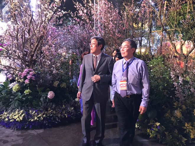 河内日本樱花节:加深越日文化交流 增进两国民间感情 ảnh 2 河内日本樱花节:加深越日文化交流 增进两国民间感情 ảnh 2