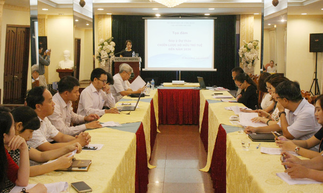 制定知识产权保护战略为经济社会发展注入动力 ảnh 1