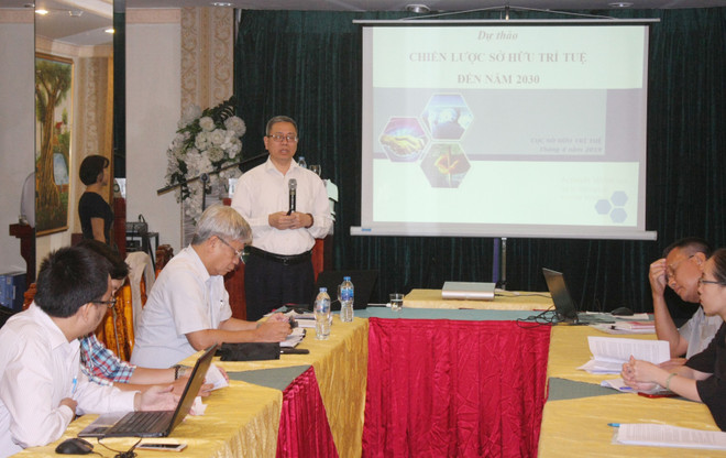 制定知识产权保护战略为经济社会发展注入动力 ảnh 2