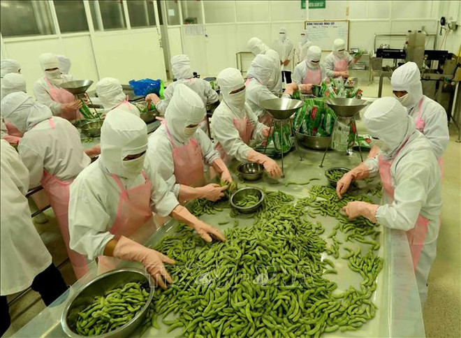 安江省主要商品出口额增加 ảnh 1