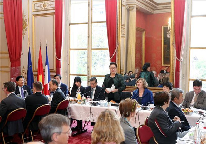 国会主席阮氏金银会见法越议员友好小组和法国企业代表 ảnh 1