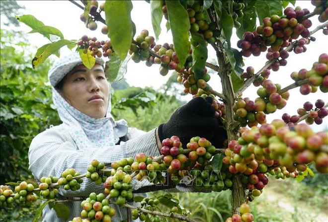 📝时评:需加速实施可持续发展目标 ảnh 3 📝时评:需加速实施可持续发展目标 ảnh 3