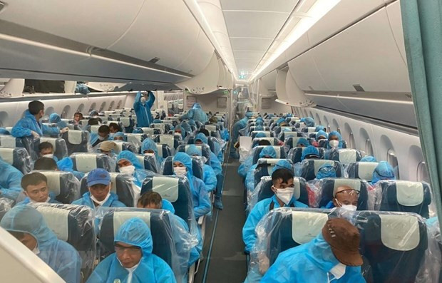 在国外工作的3000多名越南劳动者被安全接回国 ảnh 1 在国外工作的3000多名越南劳动者被安全接回国 ảnh 1