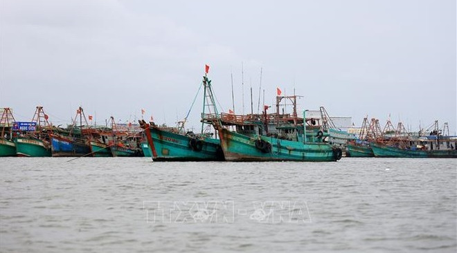 防止渔船进行IUU捕捞违法行为 ảnh 1 防止渔船进行IUU捕捞违法行为 ảnh 1