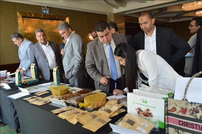 越南驻埃及经济商务处:企业向埃及出口商品时必须仔细审查合同 ảnh 1 越南驻埃及经济商务处:企业向埃及出口商品时必须仔细审查合同 ảnh 1