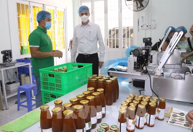 充分利用新一代自由贸易协定带来的跨境电商机遇 ảnh 1 充分利用新一代自由贸易协定带来的跨境电商机遇 ảnh 1
