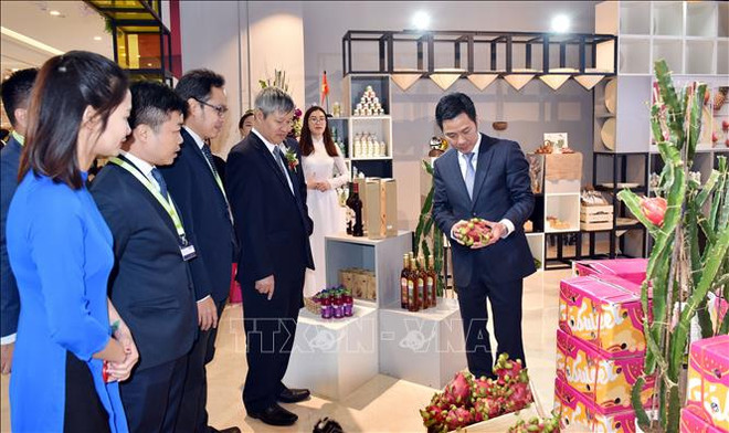 越南馆在上海绿地全球商贸港正式亮相 ảnh 2 越南馆在上海绿地全球商贸港正式亮相 ảnh 2