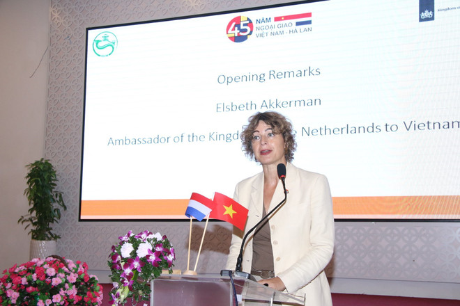 芹苴市与荷兰合作 促进农业可持续发展 ảnh 1