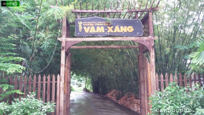 芹苴市丰田县的旺桑果园 ảnh 1 芹苴市丰田县的旺桑果园 ảnh 1