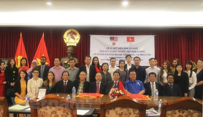 越马深化经济合作关系 ảnh 2