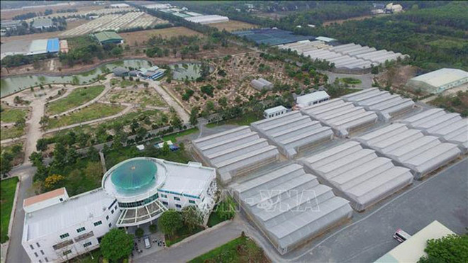 胡志明市高科技园区吸收投资约达190亿美元 ảnh 1 胡志明市高科技园区吸收投资约达190亿美元 ảnh 1