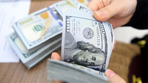 8月25日越盾对美元汇率中间价上调1越盾 ảnh 1