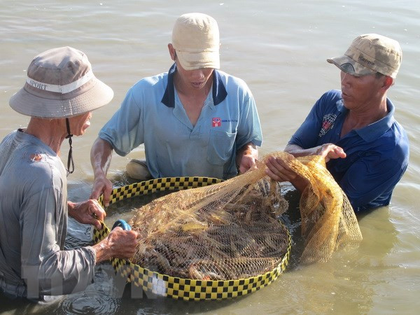 薄辽省多措并举力争成为全国虾产业中心 ảnh 1