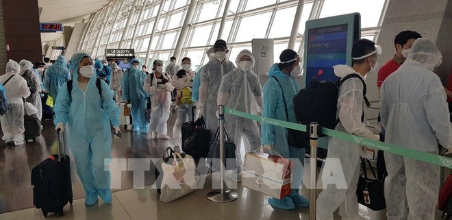 在欧洲和非洲的近350名越南公民已安全回国 ảnh 1 在欧洲和非洲的近350名越南公民已安全回国 ảnh 1