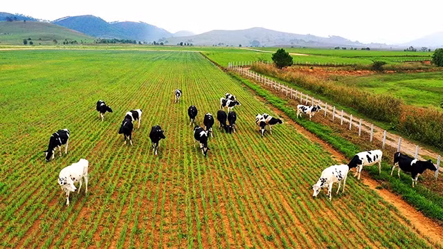 越南企业迎来境外投资新趋势 ảnh 1