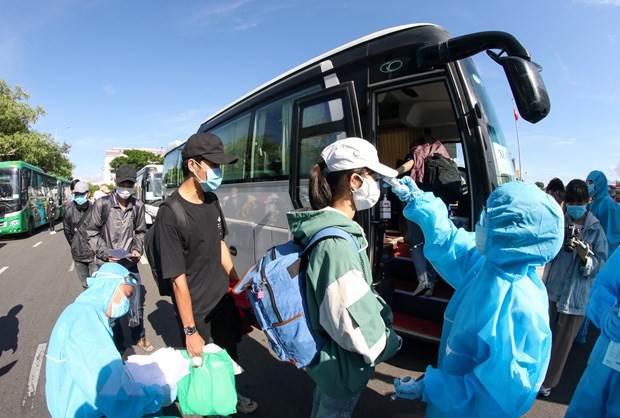 越南岘港市和海阳省分别新增一例新冠肺炎确诊病例 ảnh 1