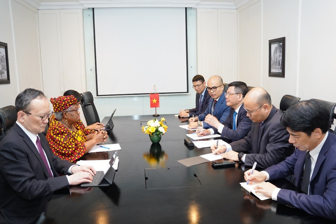 越南与世贸组织同意促进多边贸易 ảnh 1