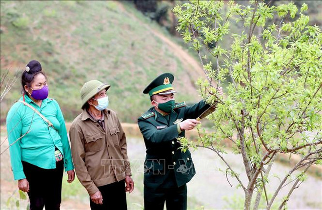 山罗省边防力量青年干部为社会发展助力 ảnh 1 山罗省边防力量青年干部为社会发展助力 ảnh 1