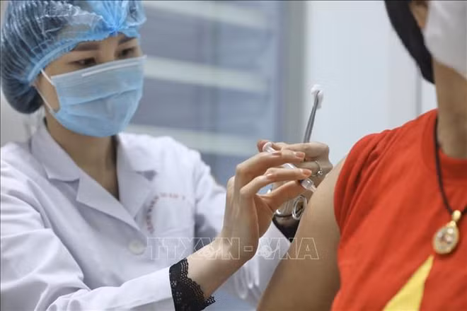 “越南制造”的新冠疫苗临床研发和试验进度更新 ảnh 2