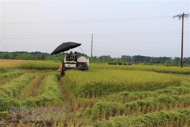 农民扶助基金会助力北宁省农民脱贫致富 ảnh 2