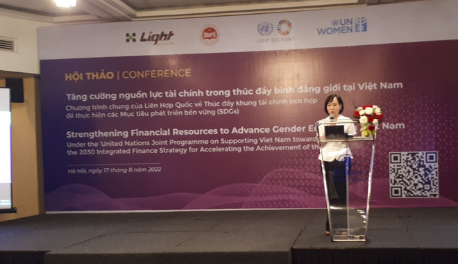 加强越南促进性别平等工作的财政资源 ảnh 2