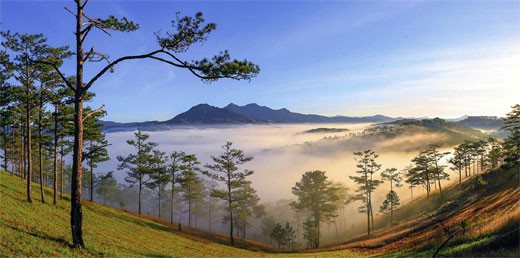 浪平山——西原地区的绿色明珠 ảnh 1 浪平山——西原地区的绿色明珠 ảnh 1
