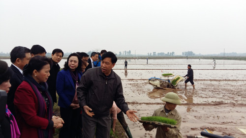 越南国会副主席阮氏金银视察河内市福寿县 ảnh 2 越南国会副主席阮氏金银视察河内市福寿县 ảnh 2