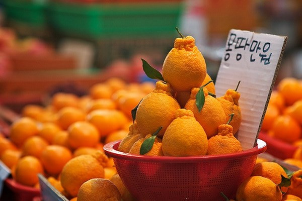 韩国Kotra:越南是韩国战略性出口市场 ảnh 1 韩国Kotra:越南是韩国战略性出口市场 ảnh 1