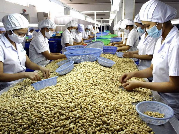 越南驻外贸易机构为越南打开国际市场搭建桥梁 ảnh 4 越南驻外贸易机构为越南打开国际市场搭建桥梁 ảnh 4