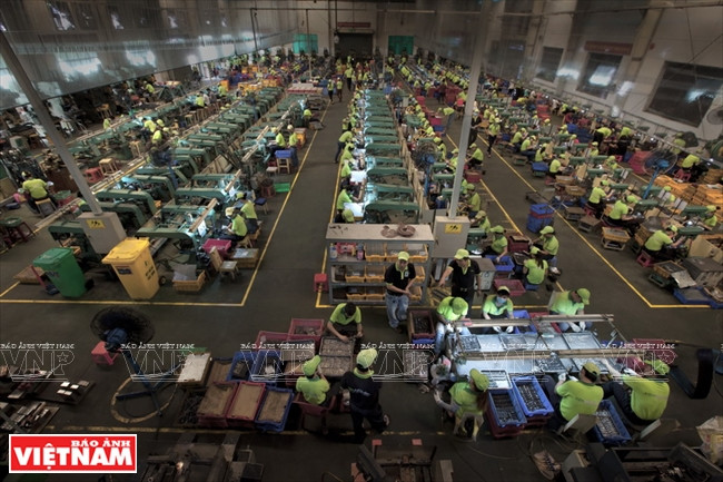 钳义品牌鹏程万里 ảnh 4