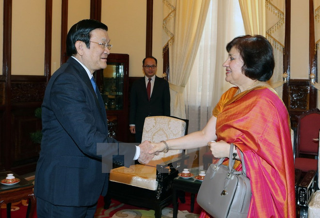 国家主席张晋创：越南一向支持印度向东看政策 ảnh 1