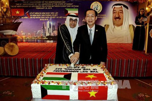 胡志明市愿为科威特等各国企业创造便利 ảnh 1