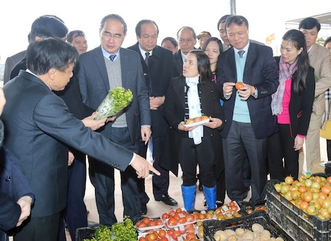 越南祖国阵线中央委员会主席阮善仁莅临河南省调研指导工作 ảnh 1 越南祖国阵线中央委员会主席阮善仁莅临河南省调研指导工作 ảnh 1
