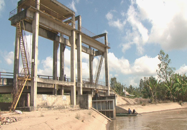 气候干旱与海水入侵给越南多地造成严重影响 ảnh 3