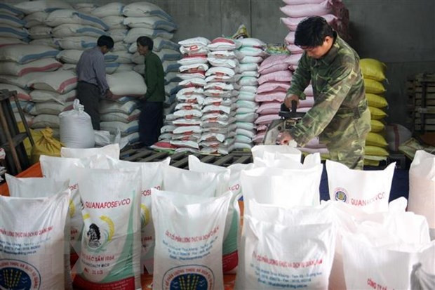 越南多措并举确保国内粮食供应和满足出口需求 ảnh 1 越南多措并举确保国内粮食供应和满足出口需求 ảnh 1