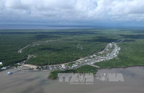 越南九龙江平原地区2019-2020冬春造产量创最高纪录 ảnh 1