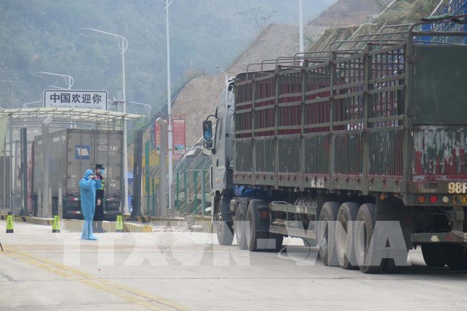 促进货物进出口的同时不能忽视防疫措施 ảnh 1 促进货物进出口的同时不能忽视防疫措施 ảnh 1