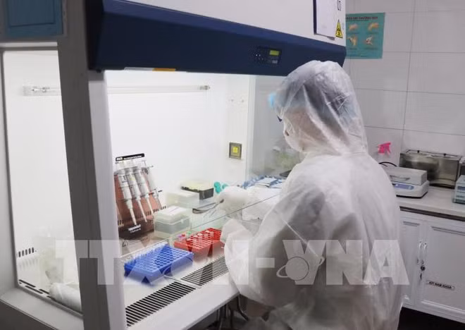 新冠肺炎疫情:越南已把疫情控制好 许多患者新冠病毒检测结果呈阴性 ảnh 2 新冠肺炎疫情:越南已把疫情控制好 许多患者新冠病毒检测结果呈阴性 ảnh 2