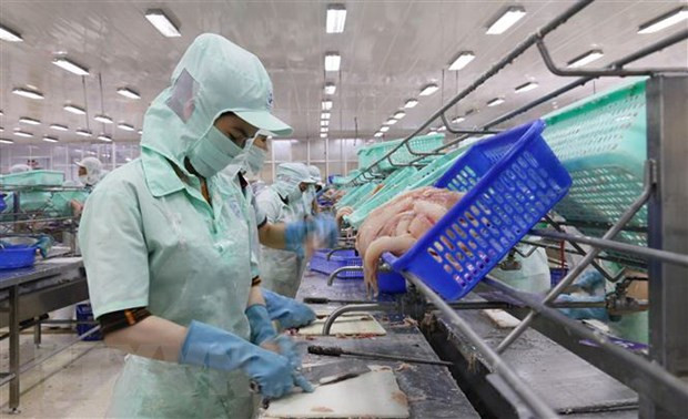 越南査鱼行业:将挑战化为机遇 ảnh 1 越南査鱼行业:将挑战化为机遇 ảnh 1