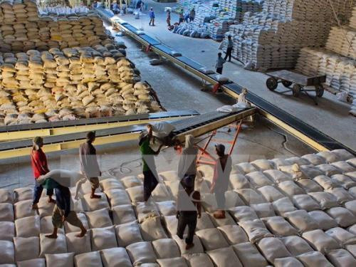 越南国家粮食储备随时能满足紧急情况下的需求 ảnh 1 越南国家粮食储备随时能满足紧急情况下的需求 ảnh 1