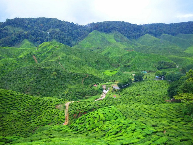 北江省旅游业发展前景广阔 ảnh 1