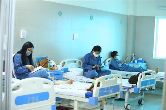 新冠肺炎疫情:越南26名新冠肺炎确诊患者检测首次阴性 ảnh 1 新冠肺炎疫情:越南26名新冠肺炎确诊患者检测首次阴性 ảnh 1