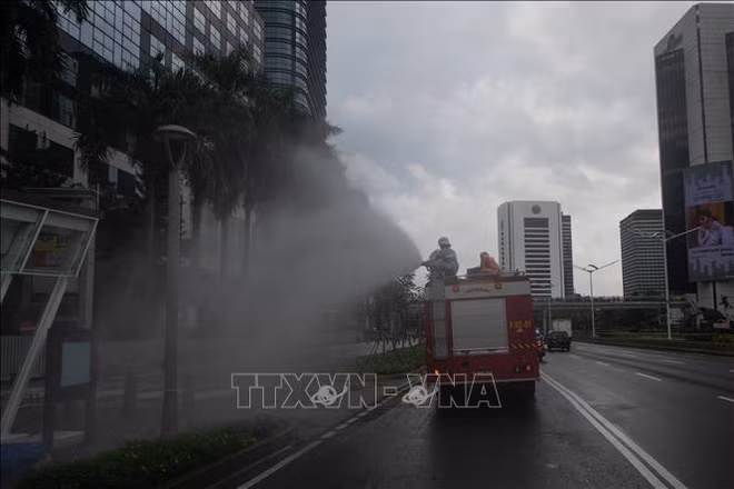 新冠肺炎疫情：印尼建立更多野战医院 新加坡禁止10人以上聚会 ảnh 1