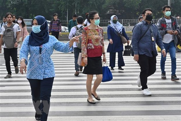 东南亚各国在新冠肺炎疫情爆发期间的共同担忧 ảnh 1