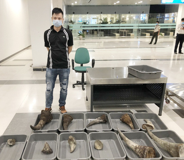 芹苴市警察调查处逮捕将近30公斤犀牛角从韩国运往芹苴市的不法人员 ảnh 1 芹苴市警察调查处逮捕将近30公斤犀牛角从韩国运往芹苴市的不法人员 ảnh 1