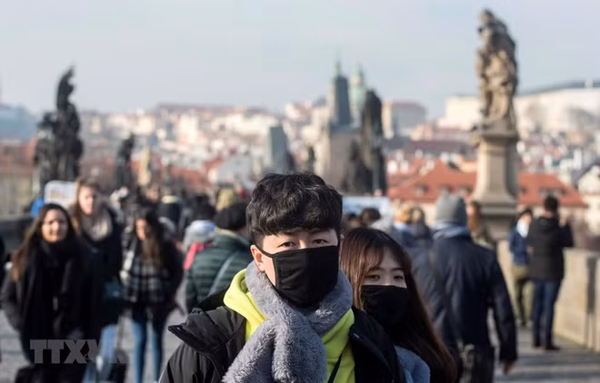 旅捷越南人积极参与当地防控新型肺炎疫情的战斗 ảnh 1 旅捷越南人积极参与当地防控新型肺炎疫情的战斗 ảnh 1