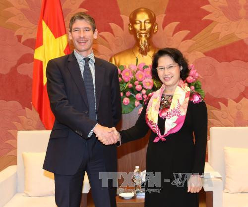 越南国会主席阮氏金银会见各国驻越大使 ảnh 3