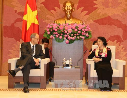 越南国会主席阮氏金银会见各国驻越大使 ảnh 1